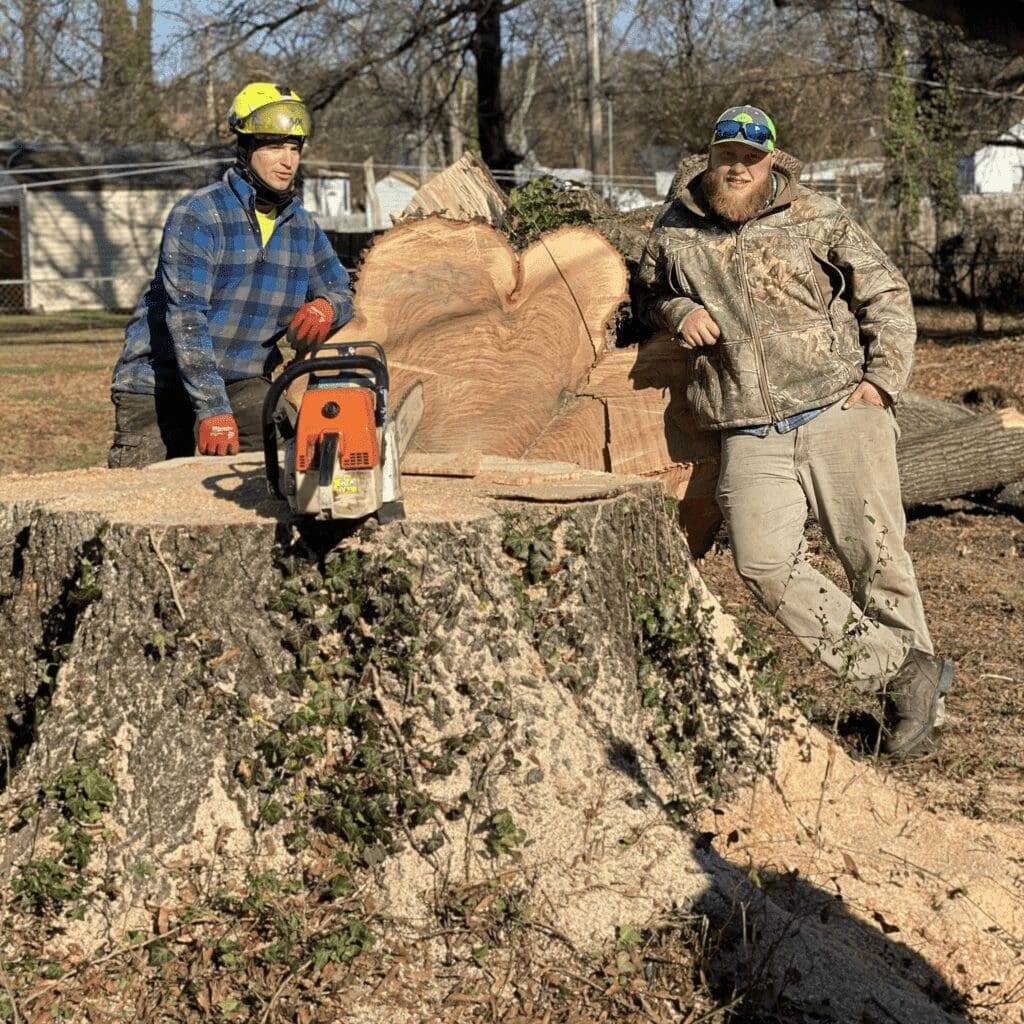 Two arborists posing next to a freshly cut tree stump, one holding a chainsaw, showcasing safe tree removal techniques in a residential setting.