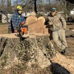 Tree Removal Team (Kent County, VA)