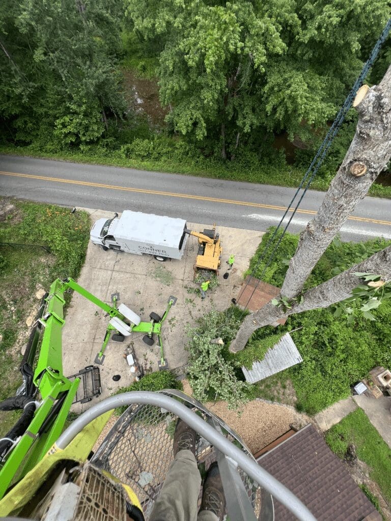 arial view of tree removal by Conner Tree Service