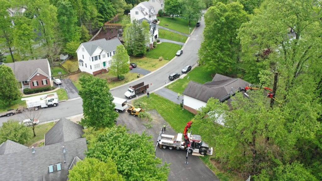 Aerial view of a residential area showing tree removal service in progress, with specialized equipment and trucks on-site, highlighting the importance of professional tree care and associated costs.
