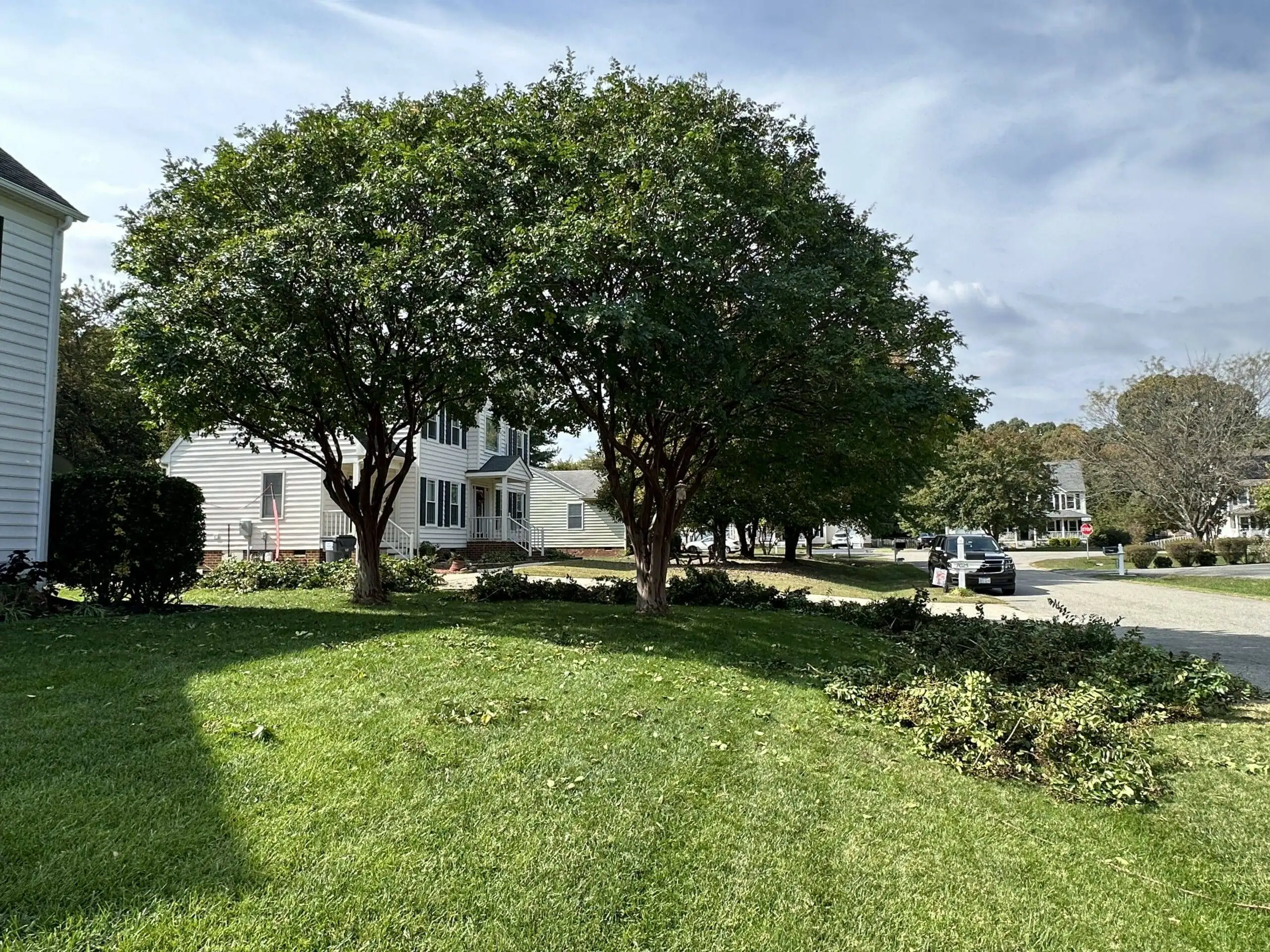 Tree Crown Reduction