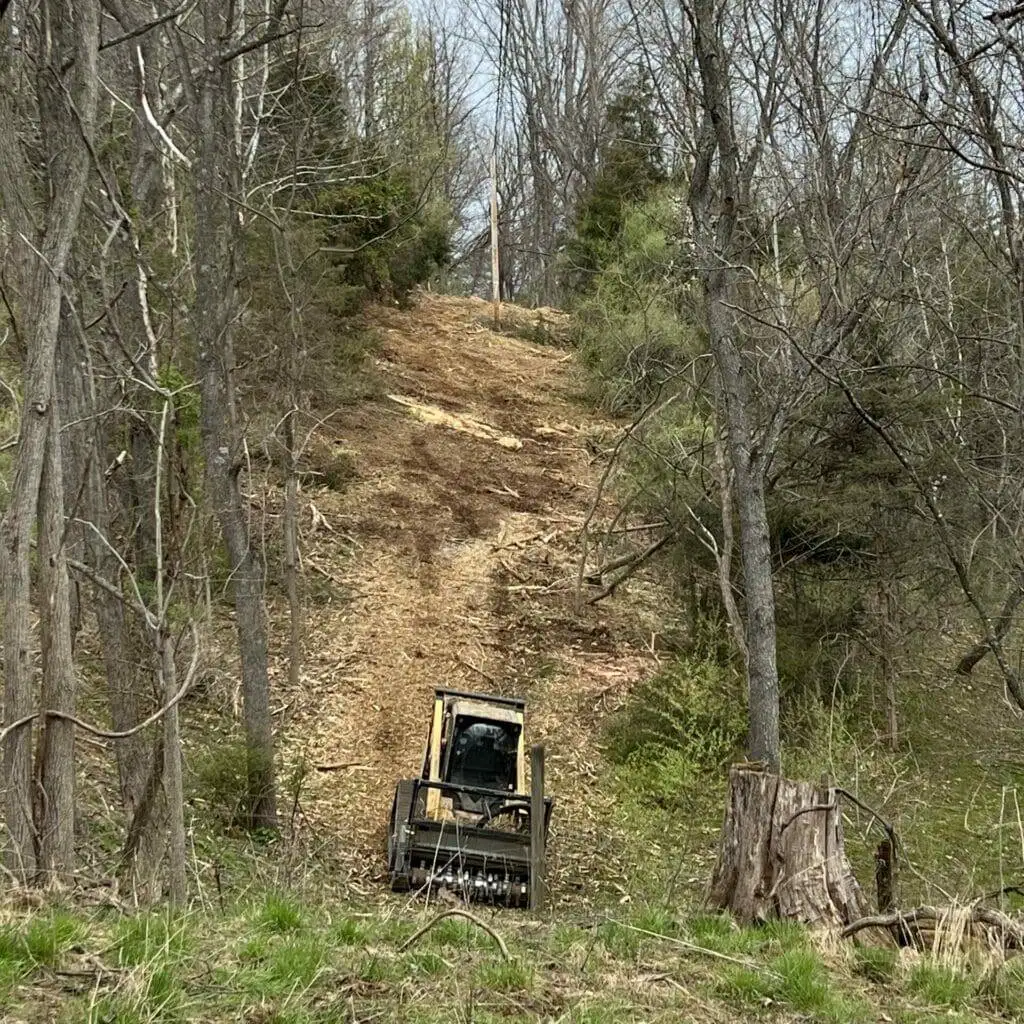 Forestry Mulching Service