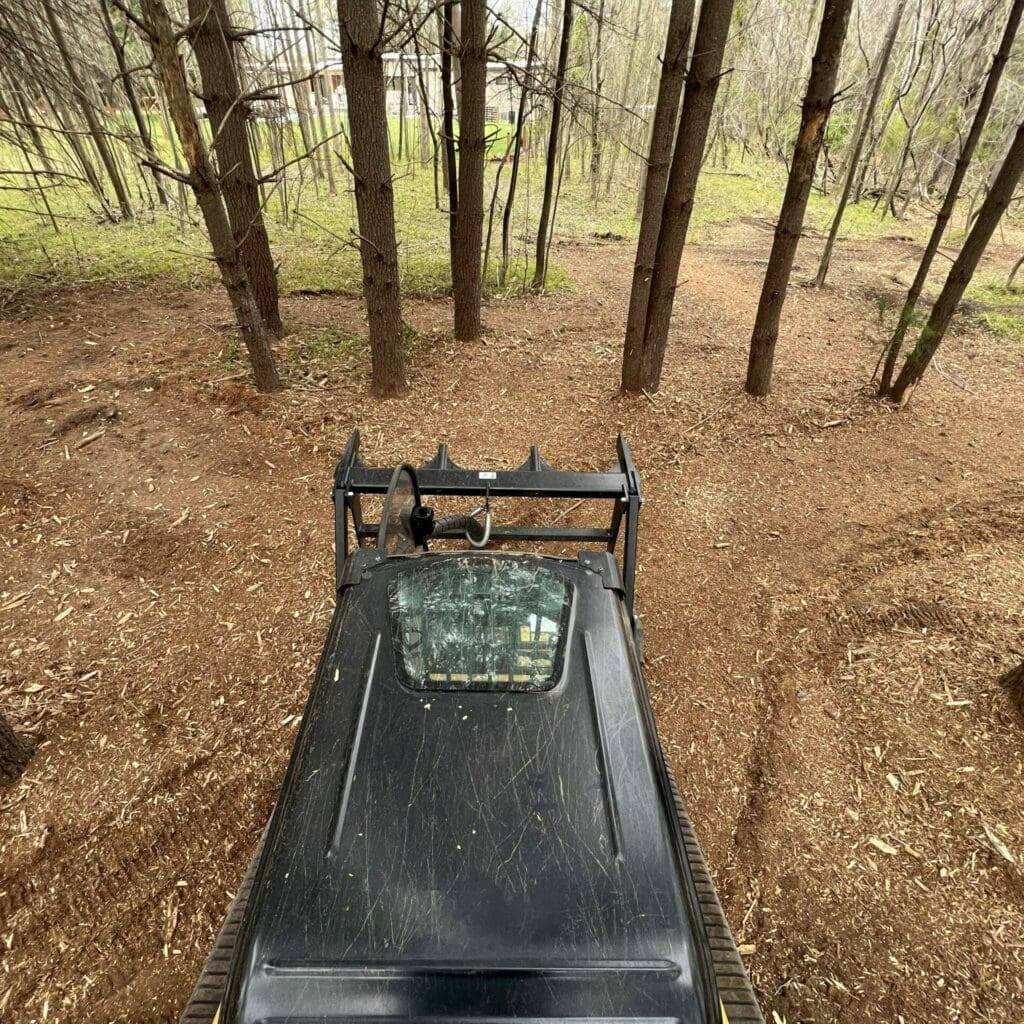 Forestry mulching machine in wooded area, clearing land and converting brush into mulch, showcasing efficient land management for Conner Tree Service in New Kent, VA.