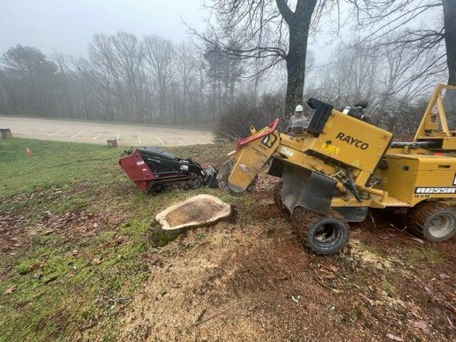Stump grinding process with Rayco stump grinder and mini skid steer removing tree stump in Virginia landscape.