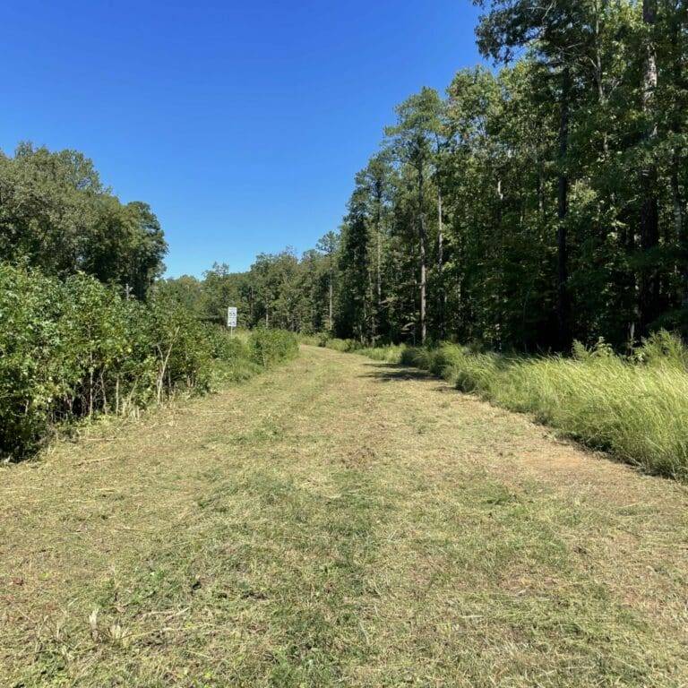 Home | Conner Tree Service - 