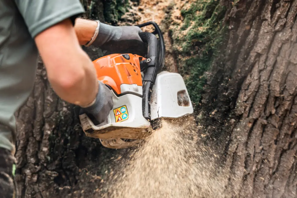 Tree service professional using a chainsaw for stump grinding, with wood chips flying, emphasizing tree care expertise in Mechanicsville.