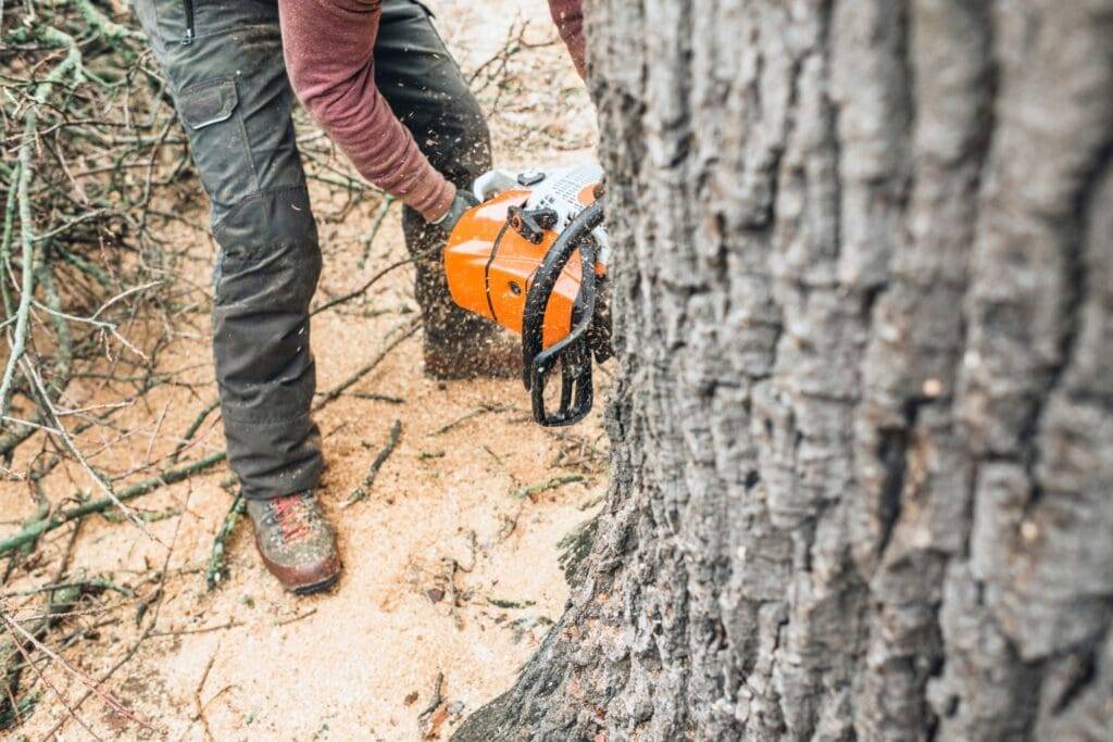 Tree service professional using a chainsaw to cut down a tree, surrounded by wood chips and debris, highlighting expert tree removal services in Powhatan, VA.