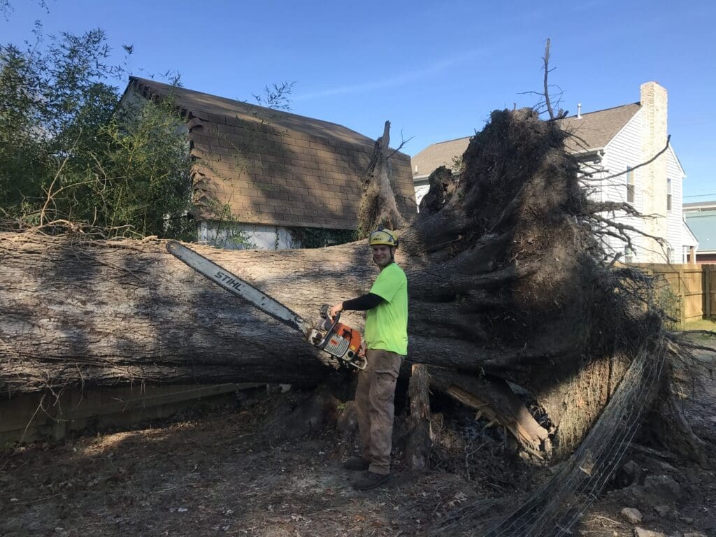 Tree service worker in high-visibility clothing using a chainsaw on a fallen tree, demonstrating essential PPE for safety during tree removal.