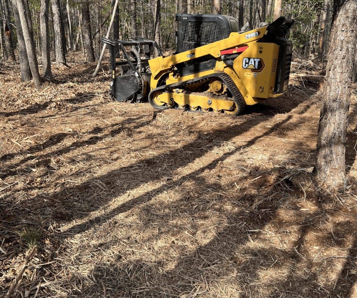 Forestry Mulching Team (Kent County, VA)