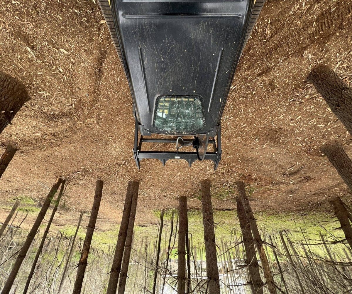 Forestry mulching near Kent County, VA